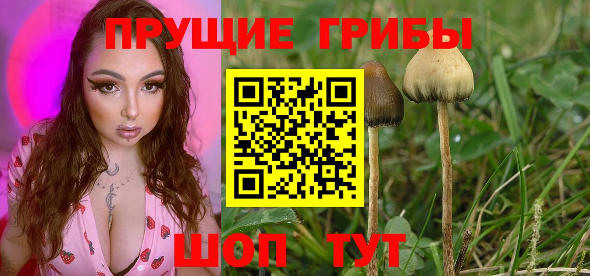 Воронеж  Псилоцибиновые грибы MAGIC MUSHROOMS  как найти   Вход с VPN 